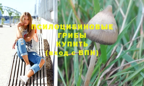 герыч Заводоуковск